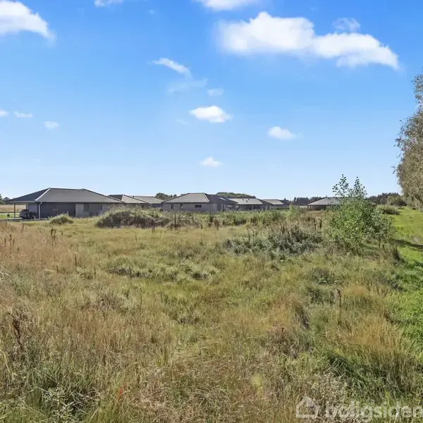 Græsmark grænser op til en vej og rækkehuse i det fjerne under en blå himmel med spredte skyer; træer står til højre, og marken er åben og grøn.
