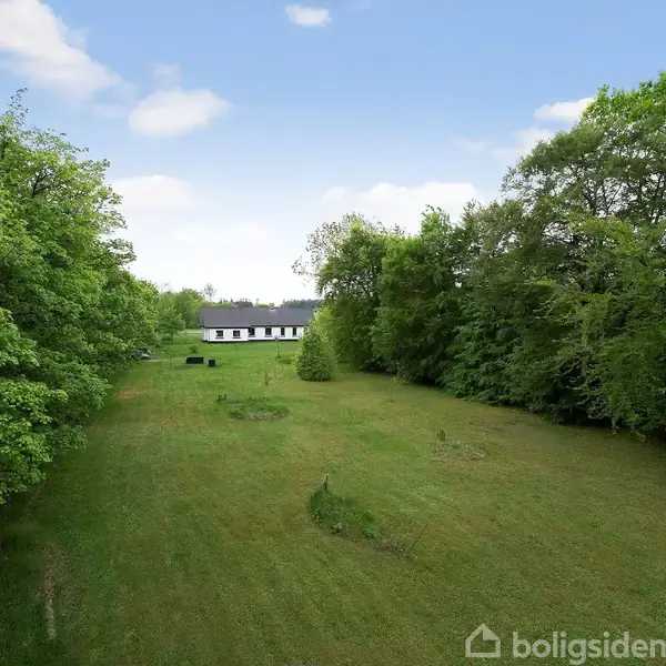 Hus i baggrunden af en stor, grøn græsplæne omgivet af tætte træer på begge sider under en klar blå himmel uden skyer.