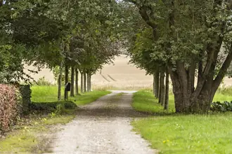 Landejendom på Jeksen Dalvej 7, Bjertrup, 8362 Hørning