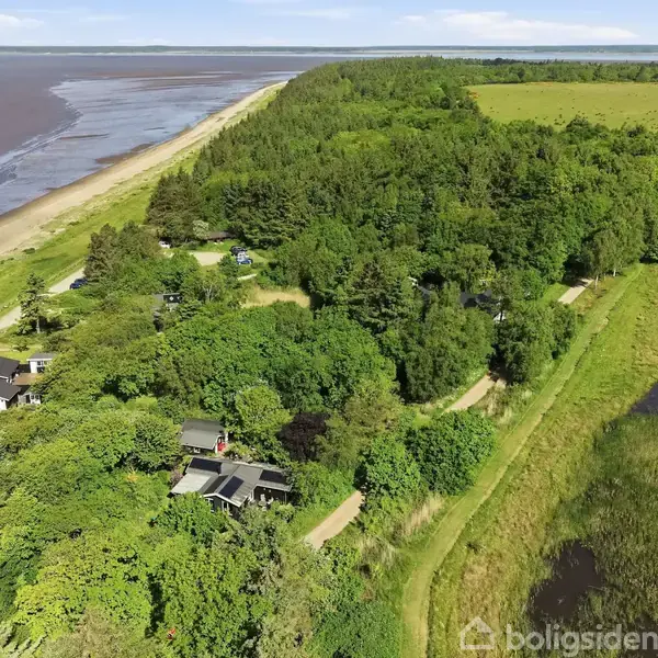 Kysthuse ligger blandt frodig vegetation langs en sandstrand og tæt ved en stor sø. Skov strækker sig mod horisonten.