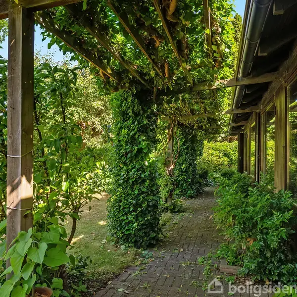 En sti dækket af fliser løber langs et hus med store vinduer til højre. En pergola fyldt med klatrende vinplanter danner en grøn tunnel, omgivet af frodig beplantning.