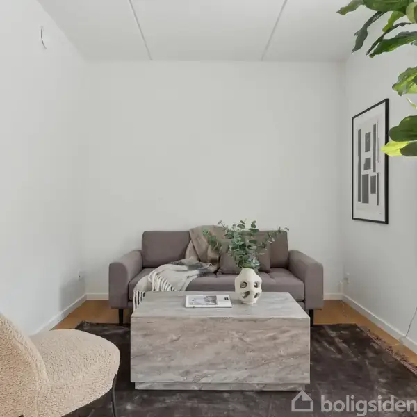 En grå sofa står ved en væg med et tæppe og en plante på et marmorbord foran. En blød stol er til venstre. Vinduet til højre slipper lys ind.