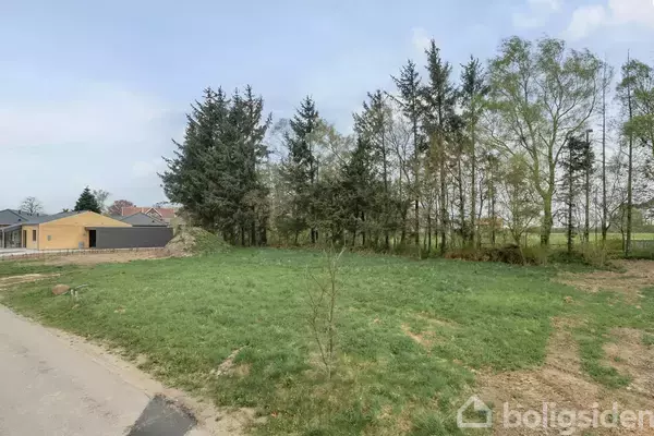 Græsplæne foran en gruppe høje træer ved siden af en vej. Til venstre ses moderne huse i et beboelsesområde. Himmel let overskyet.