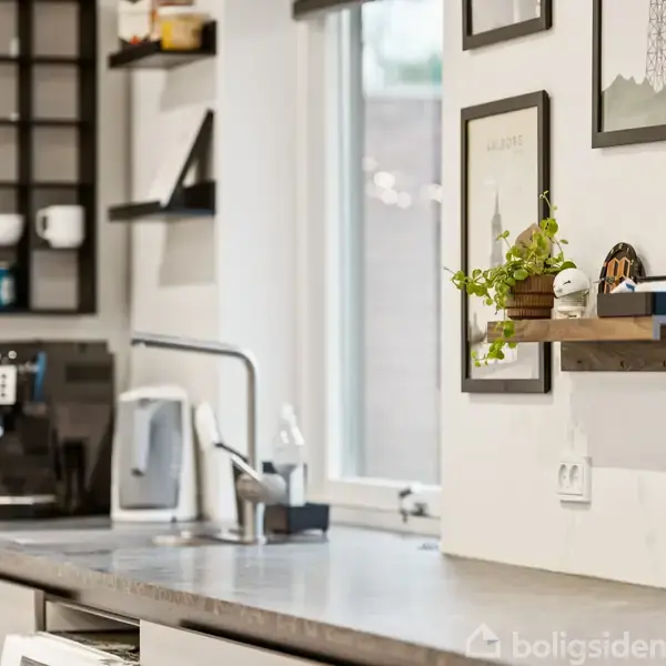 Køkkenbord med kaffemaskine og hylde. Hylden har en plante og nogle dekorationer. I baggrunden ses et vindue og nogle vægmonterede billeder.