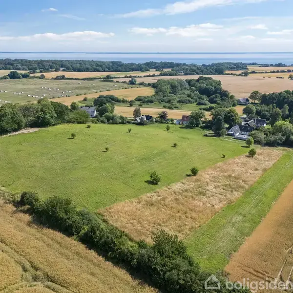 Grønt markområde omgivet af træer og marker, med et par små huse i baggrunden. Landskabet fortsætter mod en skov og en fjern horisont under en blå himmel.