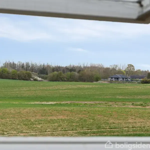 Udsigt fra et vindue til en grøn mark med græs strækker sig mod en skovbryn i baggrunden. Huse er synlige i det fjerne under en blå himmel.