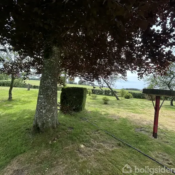 Træ står stille i en grøn have med en græsplæne. I nærheden ses flere træer og en rød fuglefoderbræt. Baggrunden viser åbne marker og en blå himmel.