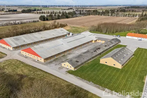 Svinegård/-jord på Gøttrupstrandvej 82, 9690 Fjerritslev