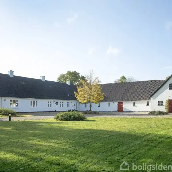 Hvidt, vinkelformet bondehus med sort tag og flere vinduer står ved siden af en grøn græsplæne og et centralt træ, omkranset af andre træer under en blå himmel.