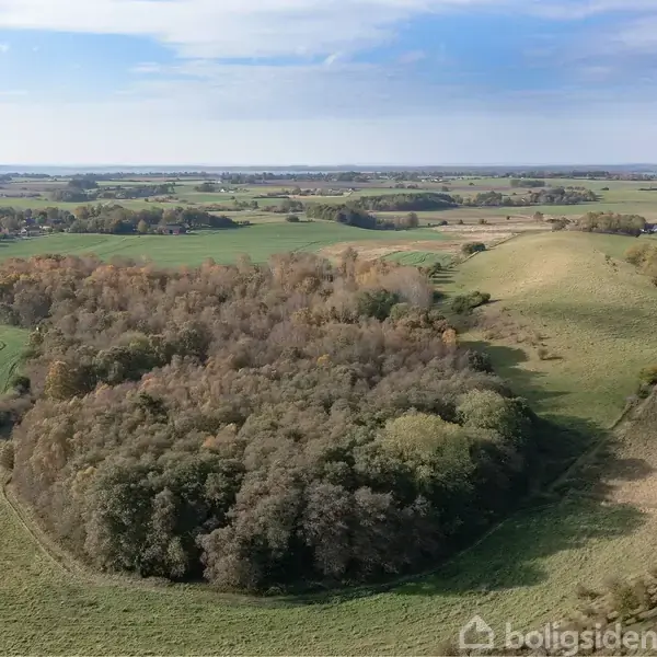 Skovområde i centrum omgivet af bølgende grønne marker strækker sig ud i det åbne landskab under en blå himmel med spredte skyer.