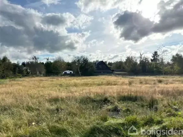 En grøn mark strækker sig ud med højt græs under en dramatisk, skyet himmel. I baggrunden ses en bil ved siden af et hus omgivet af træer.