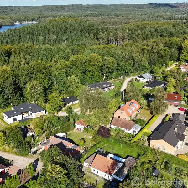 Flere huse ligger i en række langs en vej, omgivet af tæt skov og grønne områder. En sø er synlig i baggrunden, hvilket skaber en fredelig landskabsstemning.