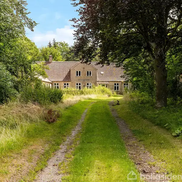 Et gammelt hus med et rødt tegltag ses i baggrunden. Omkring huset er der tætte træer og en grusvej med græs i midten, der fører op til indgangen.