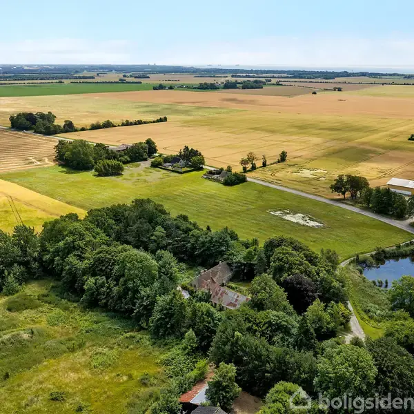 Landskab med marker strækker sig til horisonten. En landevej løber gennem billedet, omgivet af grønne træer og en lille dam. Solrige marker præger landskabet.