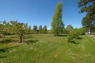 Fritidsgrund på Plantagevej 20, Sælvig, 8305 Samsø