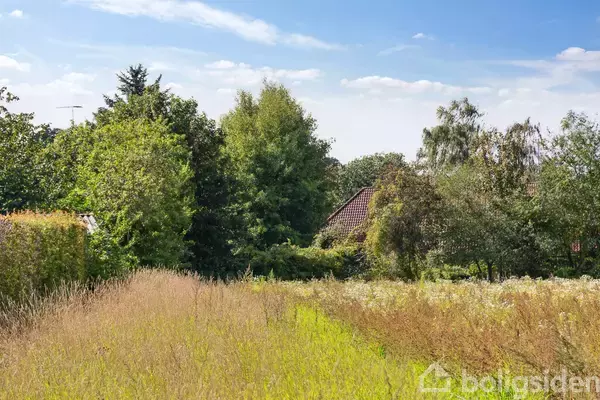 En eng dækket af højt græs og vilde blomster står i forgrunden; i baggrunden en husgavl delvist skjult af tætte træer og buske under en blå himmel.