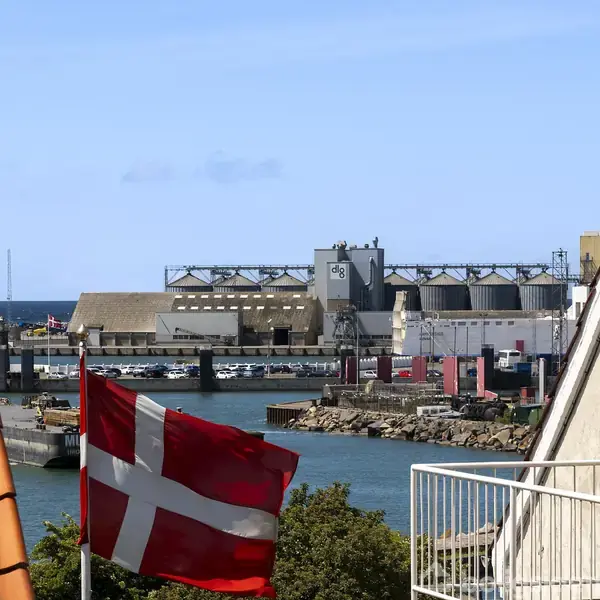 Et Dannebrog flag blafrer i vinden, placeret foran en havn med industrihuse og både. Til venstre ses et tegltag og til højre en hvid bygning med en balkon.