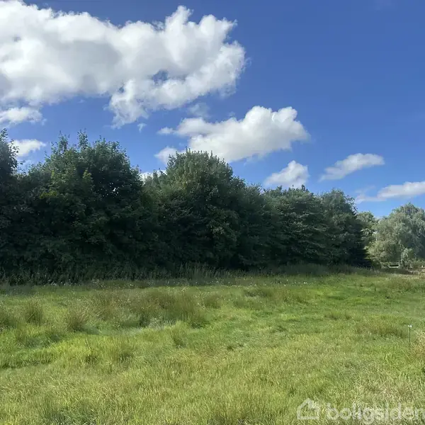 Græsplæne ligger stille omgivet af tætte træer under en klar blå himmel med spredte skyer.