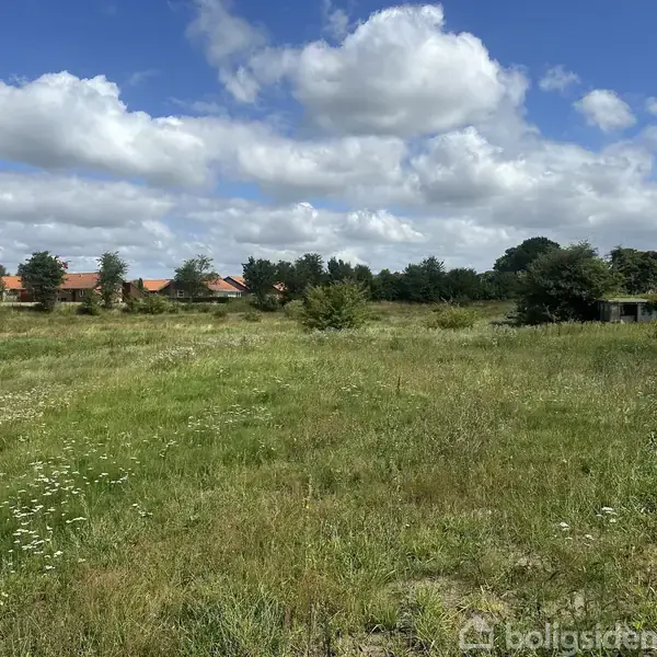Græsareal med spredte vilde blomster og buske; i baggrunden ses et række af huse med røde tage under en blå himmel med spredte hvide skyer.