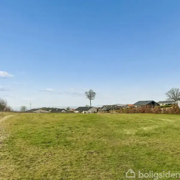 Græsplæne strækker sig over en åben mark, med et par ensomme træer. I baggrunden ses nogle huse og buske under en blå himmel med enkelte skyer.