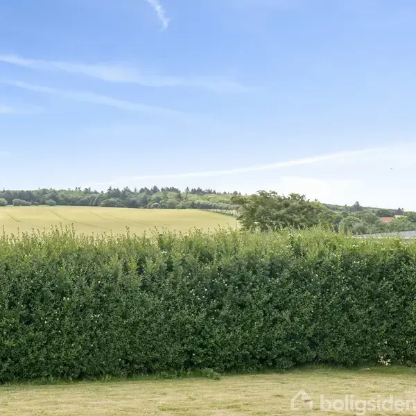 Et vindue åbner op til en udsigt over en grøn hæk, der omgiver en græsplæne. I baggrunden ses bølgende marker og skov under en klar blå himmel.