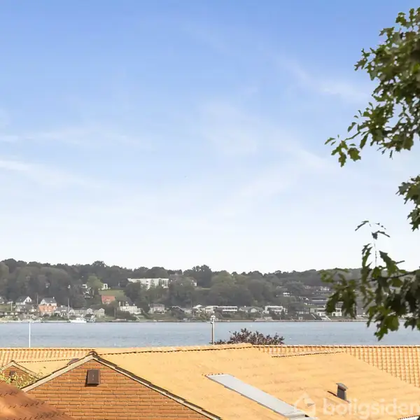 Røde hustage strækker sig mod en skovklædt kyst over en rolig sø. En stor trægren hænger i højre side under en klar blå himmel.