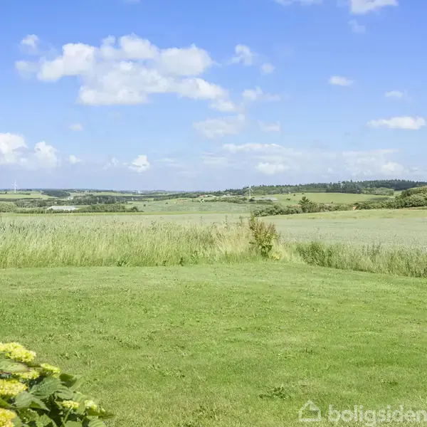 Grøn plæne strækker sig ud mod en bølgende horisont under en blå himmel med hvide skyer, omgivet af marker og skov. Blomstrende busk forrest til venstre.