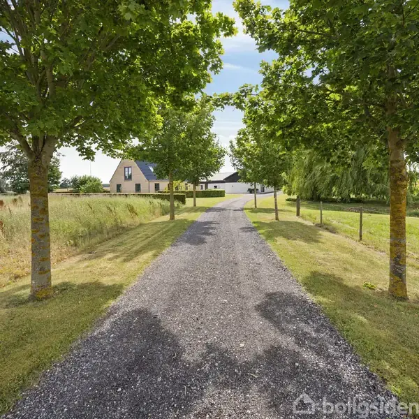 Grusvej omkranset af træer fører til et moderne hus med sort tag. Grønne marker og træer omgiver vejen, der strækker sig mod den lyse hovedbygning.