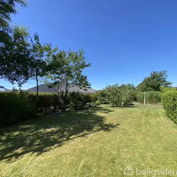 En stor, velplejet græsplæne strækker sig mellem to tætklippede hække. Træer kaster skygger på plænen. Blå himmel og et hus kan ses i baggrunden.