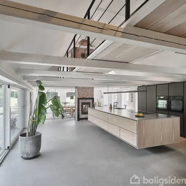 Moderne køkken med stor central ø, hævet loft og åbent design. Store vinduespartier slipper lys ind, og der er en stor grøn plante i en krukke.