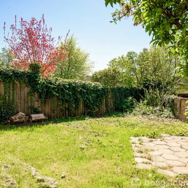Græsplæne med nogle træstykker ligger foran et hegn dækket af vedbend. Træer omgrænser haven, mens sollys skinner på fliserne i højre hjørne.