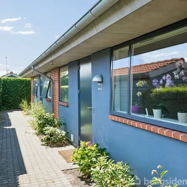 Et moderne hus med blå facade og store vinduer viser planter indeni. En flisebelagt gangsti leder til indgangen, omgivet af grønne hække og buske.