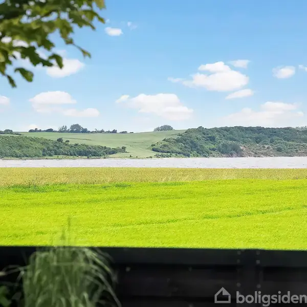Et frodigt grønt landskab strækker sig mod en rolig sø i baggrunden, omgivet af skovklædte bakker og en blå himmel med lette skyer. En træstamme ses i forgrunden.