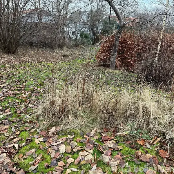 Tørt græs står i en have dækket af et lag visne blade. Omkring græsset er buske, træer og mosset jord, mens huse ses i baggrunden gennem det nøgne vinterlandskab.