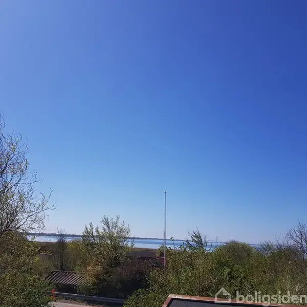 Træer står stille under en klar blå himmel nær vandet i en fredelig naturudsigt.