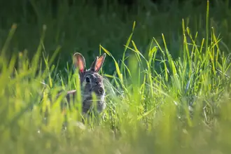 Villa på Bonderup Vestergade 3, Bonderup, 9690 Fjerritslev
