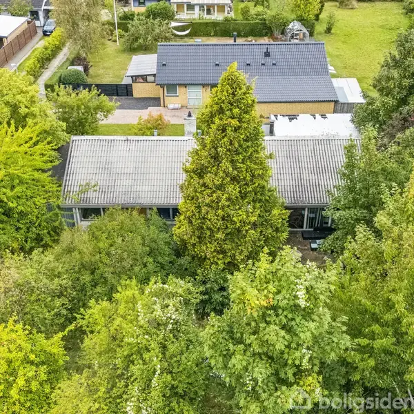 En rektangulær bygning med fladt tag er omgivet af tætte, grønne træer i et forstadsområde med huse og haver.