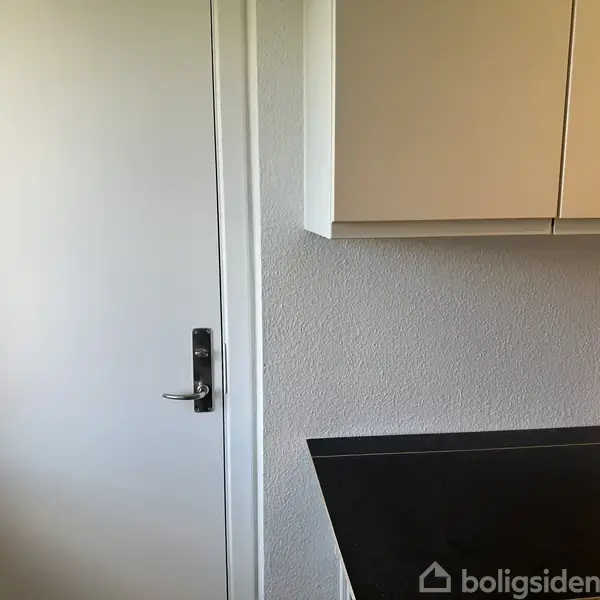 En hvid dør med sort håndtag står ved siden af en køkkenbordplade og et skab i en lys rum med hvid væg.