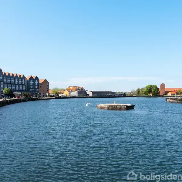 En flod løber gennem et byområde med moderne bygninger langs bredden. En svane svømmer i vandet, mens himlen er klar og blå.