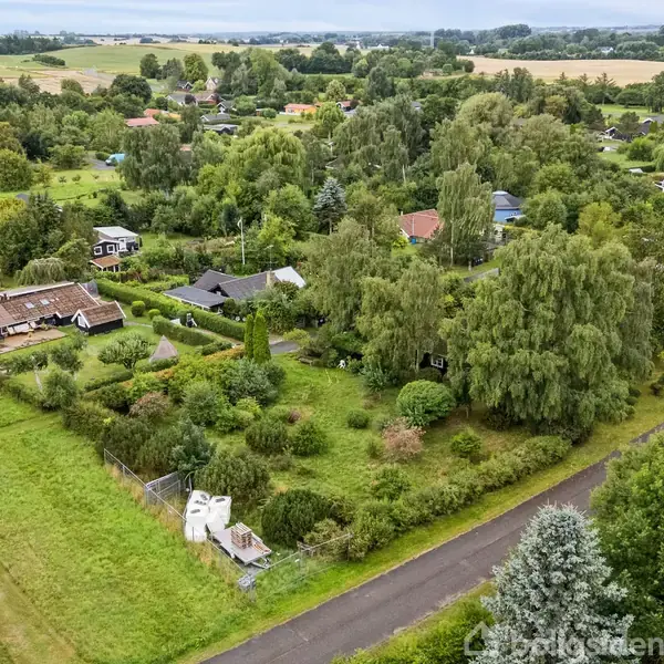En grøn, frodig have omkranser et lille hus i et boligområde. Træer og buske vokser tæt omkring flere huse, med en vej der snor sig gennem landskabet.