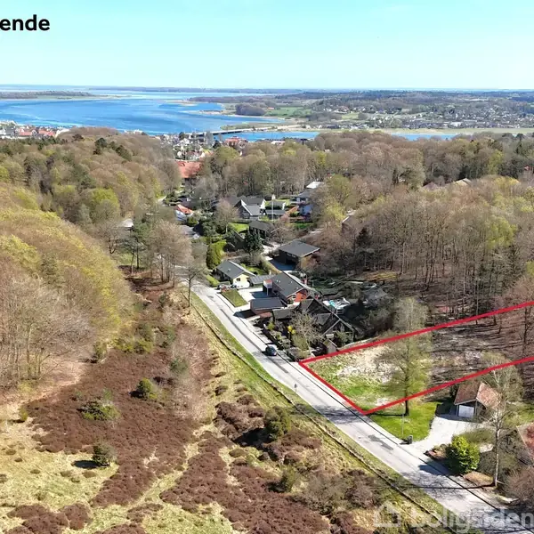Et luftfoto viser en skovklædt bakke med en vej. På højre side ses en grund markeret med rødt. I baggrunden ses en fjord og en by. Tekst: "Måltids er vejledende".