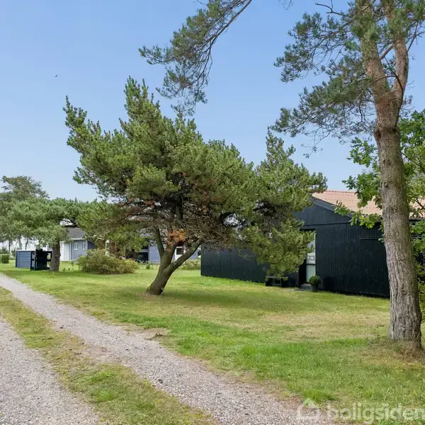 Grusstien strækker sig mellem græsplæner på begge sider, mens træer svajer let. Sorte bygninger ses i baggrunden blandt grønne træer under en klar blå himmel.
