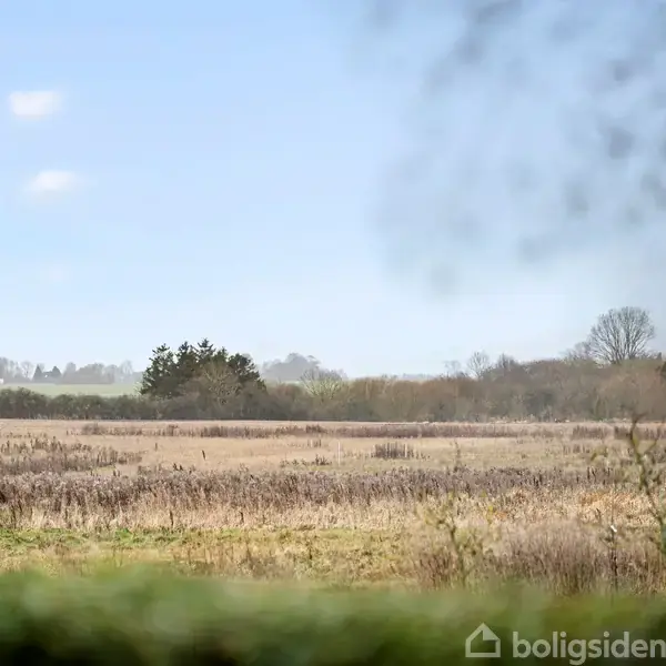 En åben mark dækket af tørre strå under en klar blå himmel. Buske og træer omgiver landskabet i baggrunden.
