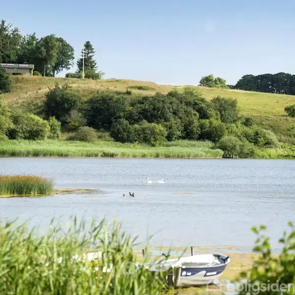 En sø omgivet af bakker og træer; i forgrunden er en båd ved bredden. To fugle svømmer på vandet, mens græsklædte områder og en skov ses i baggrunden.