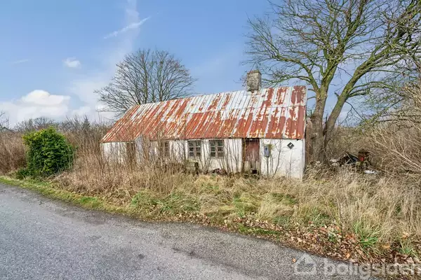 En lille, forfalden hytte med rustent tag står midt i højt græs og vilde buske langs en smal vej. Bagved ses nøgne træer under en klar, blå himmel.