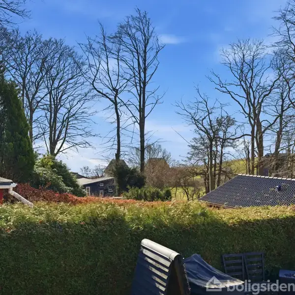 Hække omringer en have med udendørs møbler og borde. Store træer i baggrunden under en klar blå himmel. To hustage ses mellem træerne.