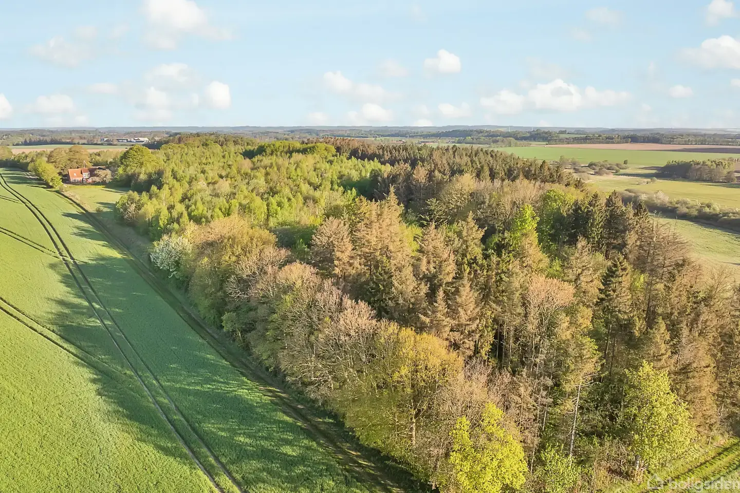 Landlig idyl – 23 hektar med mulighed for hestehold - Visning 4