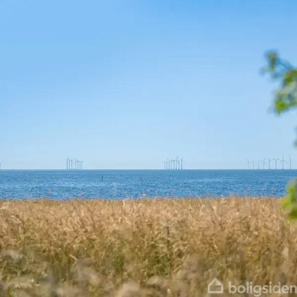 Vindmøller står stille ved horisonten på havet. Foran er der en gylden eng med tørt græs under en klar, blå himmel. En grøn gren er synlig til højre.