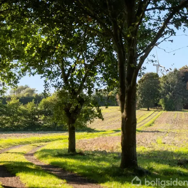 En grussti snor sig gennem en grøn skov, med træer der danner en naturlig port. I baggrunden ses en opdyrket mark belyst af blødt sollys.