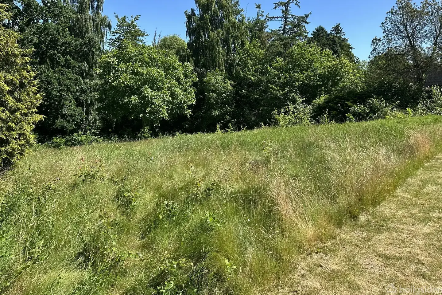 Sjældent udbudt helårsgrund - Visning 2